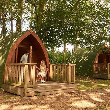 Pinewood - At Port Lympne Reserve ไฮต์ ภายนอก รูปภาพ