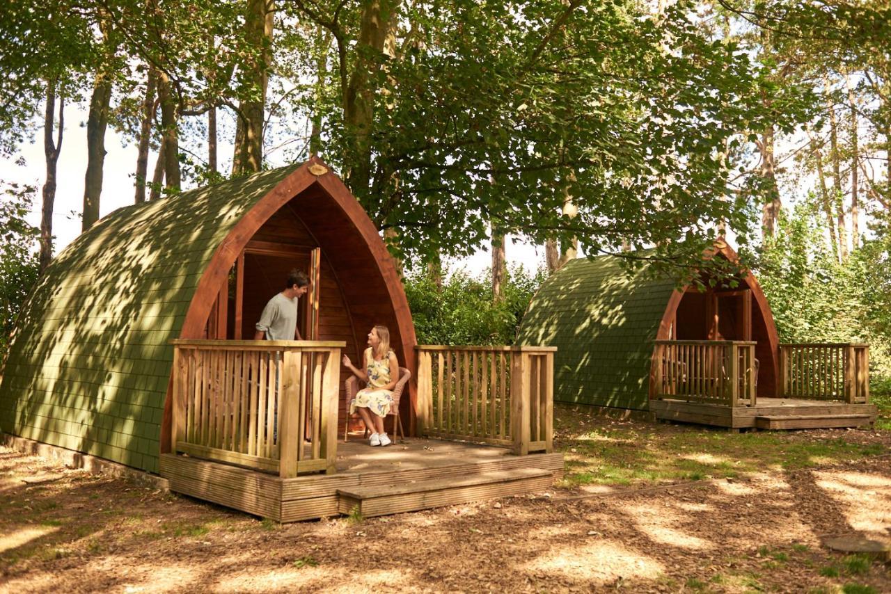 Pinewood - At Port Lympne Reserve ไฮต์ ภายนอก รูปภาพ