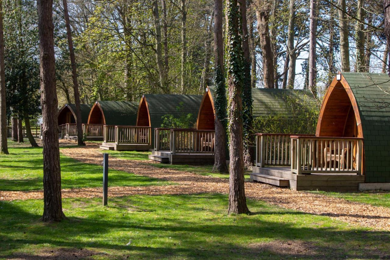Pinewood - At Port Lympne Reserve ไฮต์ ภายนอก รูปภาพ
