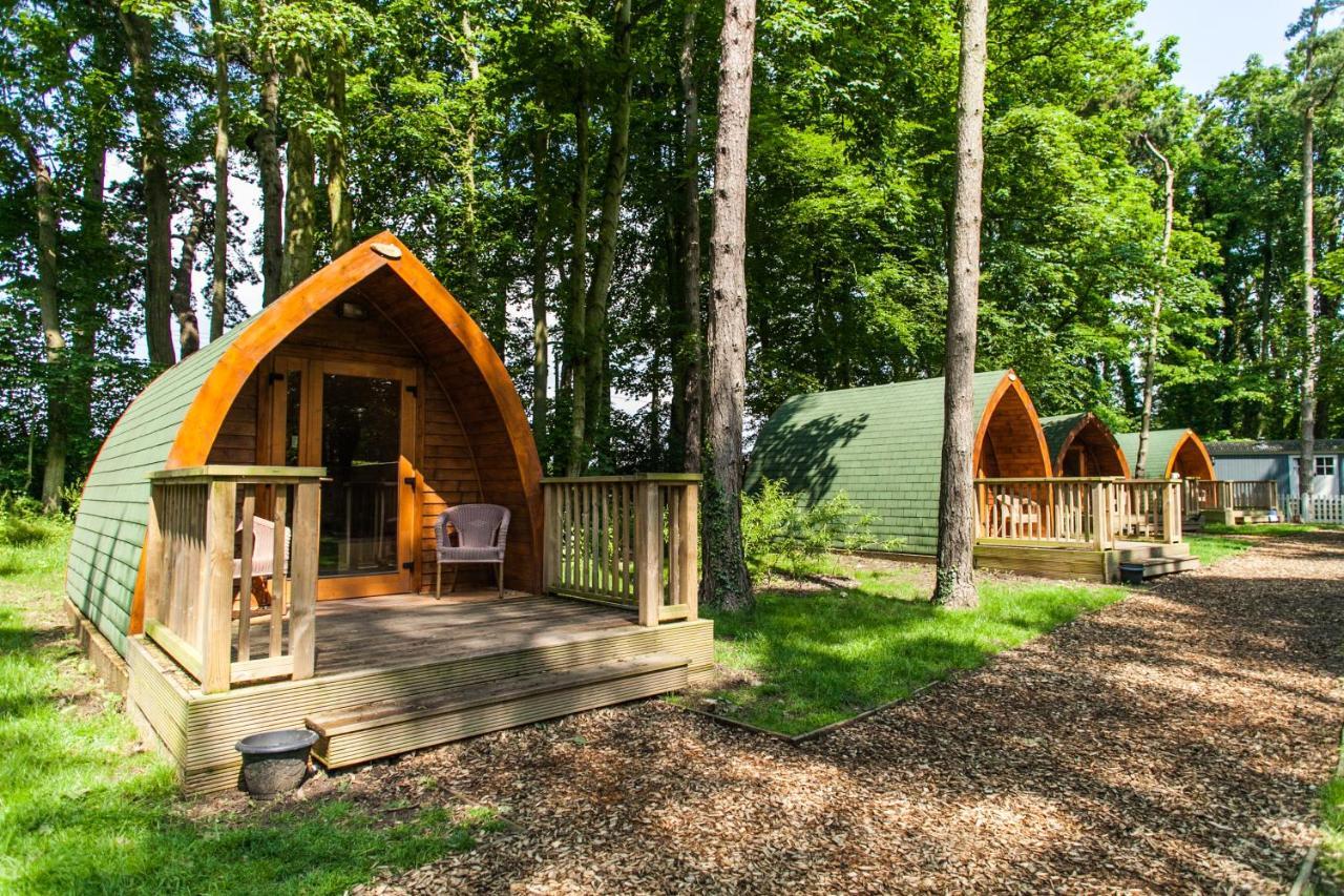 Pinewood - At Port Lympne Reserve ไฮต์ ภายนอก รูปภาพ